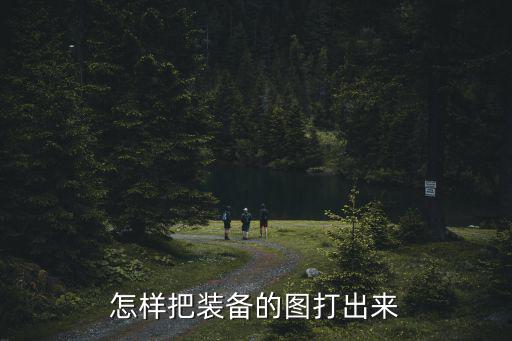 怎样把装备的图打出来