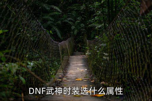 DNF武神时装选什么属性