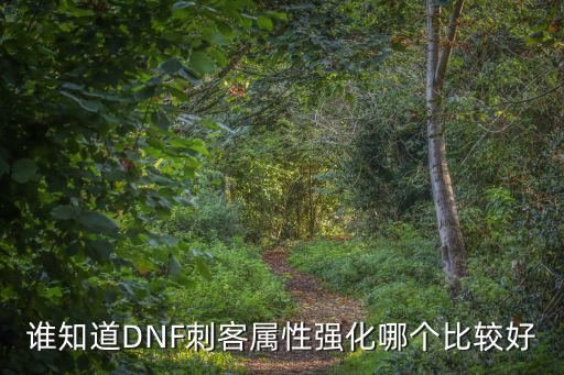 谁知道DNF刺客属性强化哪个比较好