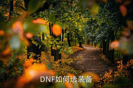 DNF如何选装备