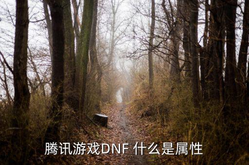 腾讯游戏DNF 什么是属性