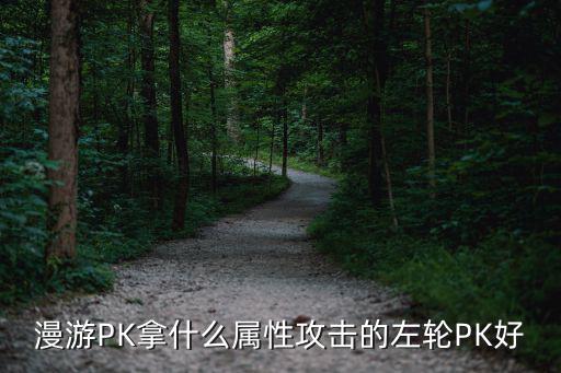 漫游PK拿什么属性攻击的左轮PK好