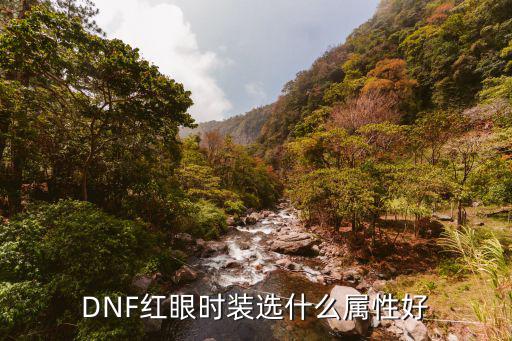 DNF红眼时装选什么属性好