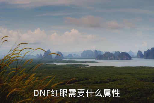 DNF红眼需要什么属性