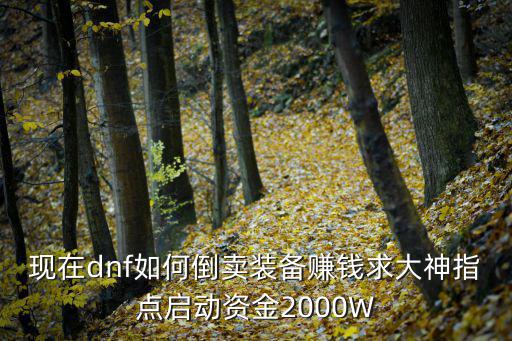 现在dnf如何倒卖装备赚钱求大神指点启动资金2000W