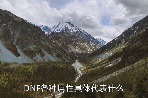 DNF各种属性具体代表什么