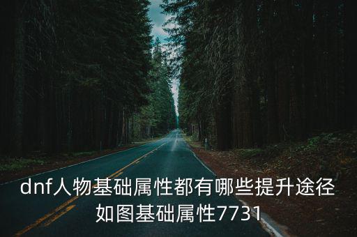 dnf人物基础属性都有哪些提升途径如图基础属性7731