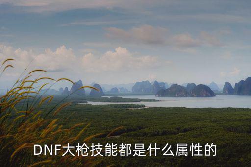 dnf大枪技能什么属性，DNF里的枪炮师应加什么属性