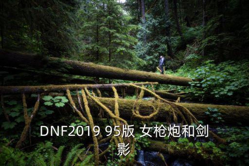 DNF2019 95版 女枪炮和剑影