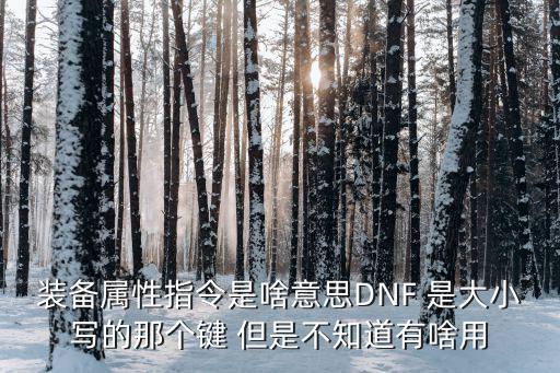 装备属性指令是啥意思DNF 是大小写的那个键 但是不知道有啥用