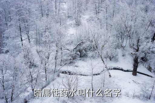 暗属性药水叫什么名字