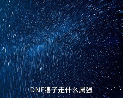 DNF瞎子走什么属强