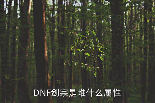 dnf剑宗是什么属性的，DNF剑宗的技能是什么属性的