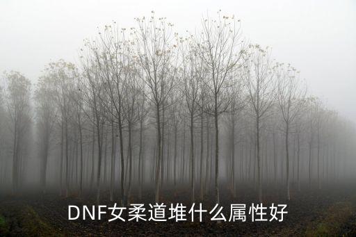 DNF女柔道堆什么属性好