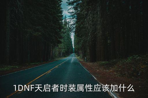 1DNF天启者时装属性应该加什么