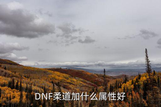 DNF柔道加什么属性好