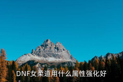 dnf柔道强化什么属性，DNF女柔道用什么属性强化好