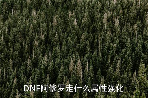 DNF阿修罗走什么属性强化