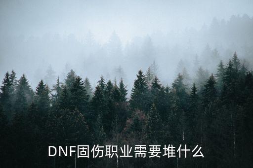 DNF固伤职业需要堆什么