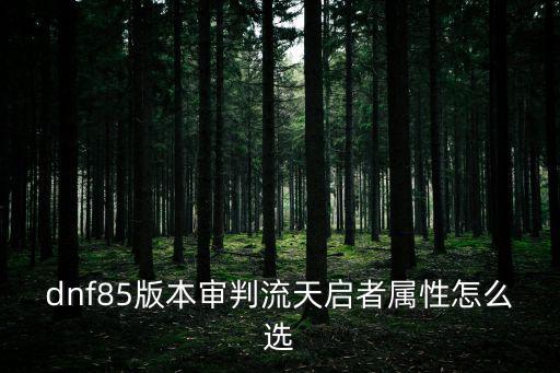 dnf天启者堆什么属性，dnf85版本审判流天启者属性怎么选