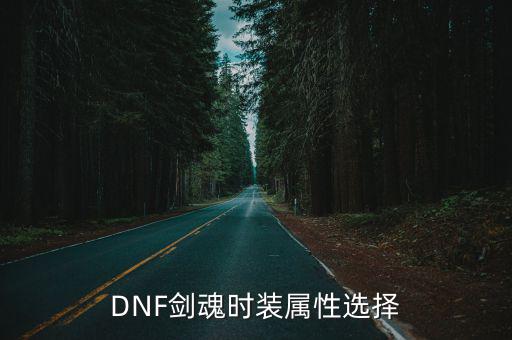 dnf有什么时装套装属性，DNF剑魂时装属性选择