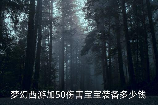 梦幻西游加50伤害宝宝装备多少钱