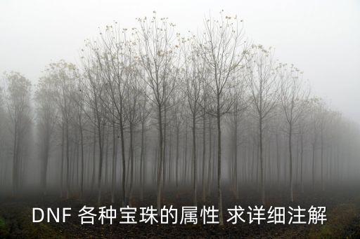 DNF 各种宝珠的属性 求详细注解