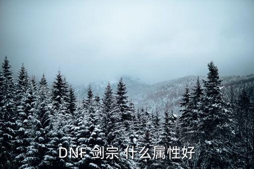 dnf剑宗90堆什么属性，DNF剑宗是堆什么属性