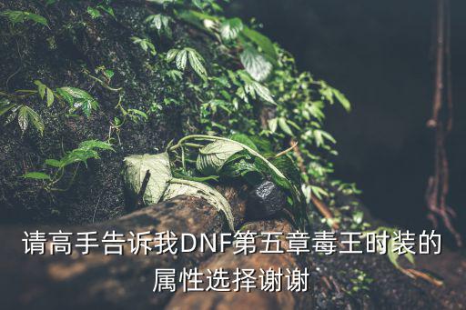 请高手告诉我DNF第五章毒王时装的属性选择谢谢