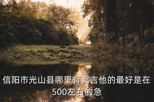 信阳市光山县哪里有卖吉他的最好是在500左右的急