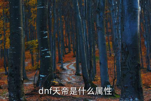 dnf天帝是什么属性