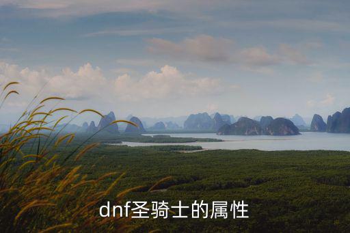 dnf圣骑士是什么属性，DNF圣骑是什么属性伤害