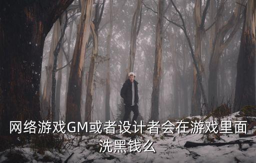 网络游戏GM或者设计者会在游戏里面洗黑钱么