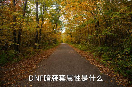 DNF暗袭套属性是什么