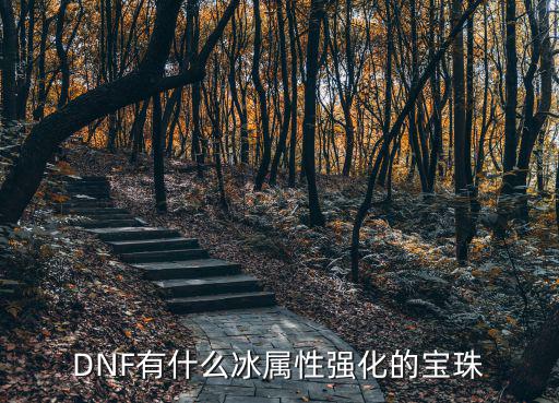 DNF有什么冰属性强化的宝珠