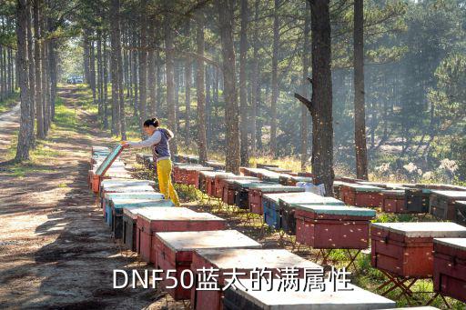 dnf蓝徽章什么属性好，DNF50蓝太的满属性