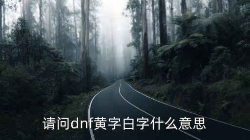 请问dnf黄字白字什么意思