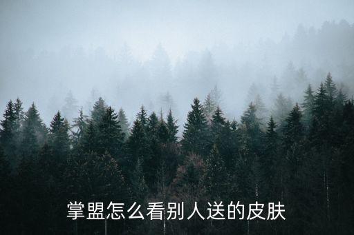 掌盟怎么看别人送的皮肤