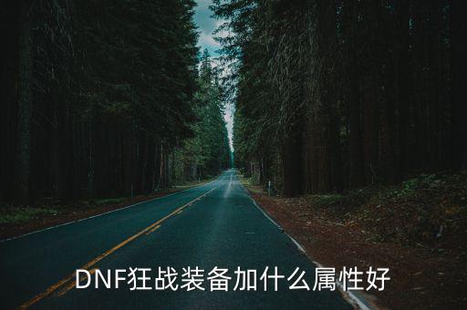 DNF狂战装备加什么属性好