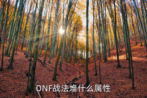 dnf起源战法堆什么属性，DNF战法堆什么属性