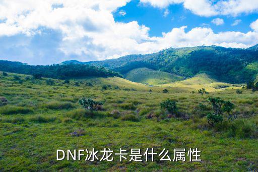 Dnf冰龙老大什么属性，DNF冰龙卡是什么属性