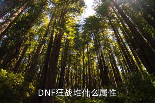 DNF狂战堆什么属性