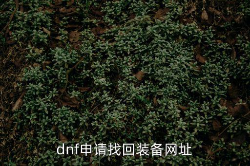 dnf申请找回装备网址