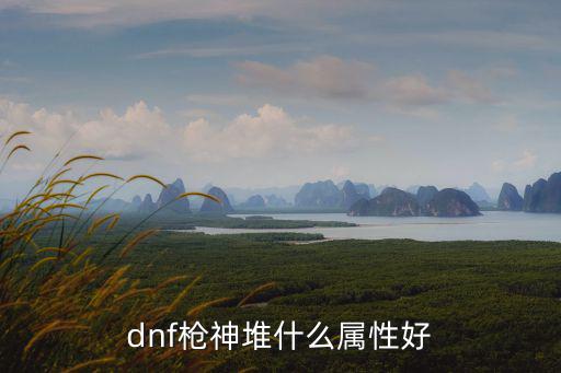 dnf枪神堆什么属性好