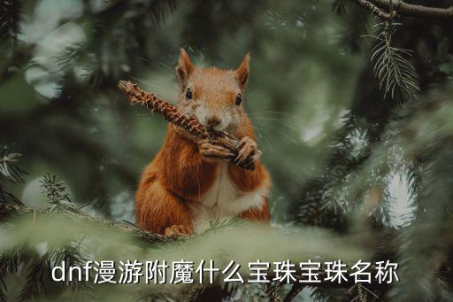 dnf漫游附魔什么宝珠宝珠名称