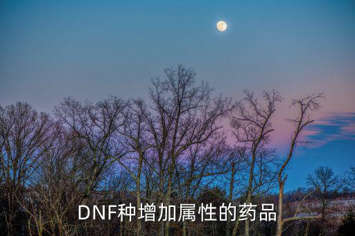 dnf喝什么药水增属性，DNF种增加属性的药品