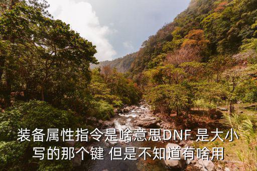 装备属性指令是啥意思DNF 是大小写的那个键 但是不知道有啥用