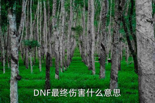 DNF最终伤害什么意思