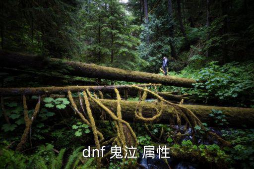 dnf 鬼泣 属性