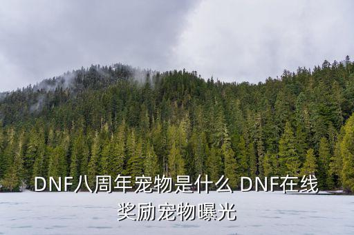 dnf中华小妞什么属性，DNF八周年宠物中华小妞如何获得 中华小妞宠物怎么样